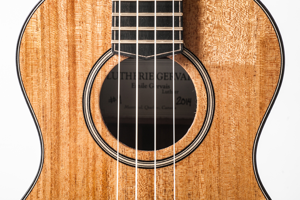 Emile Gervais_Ukulele-27