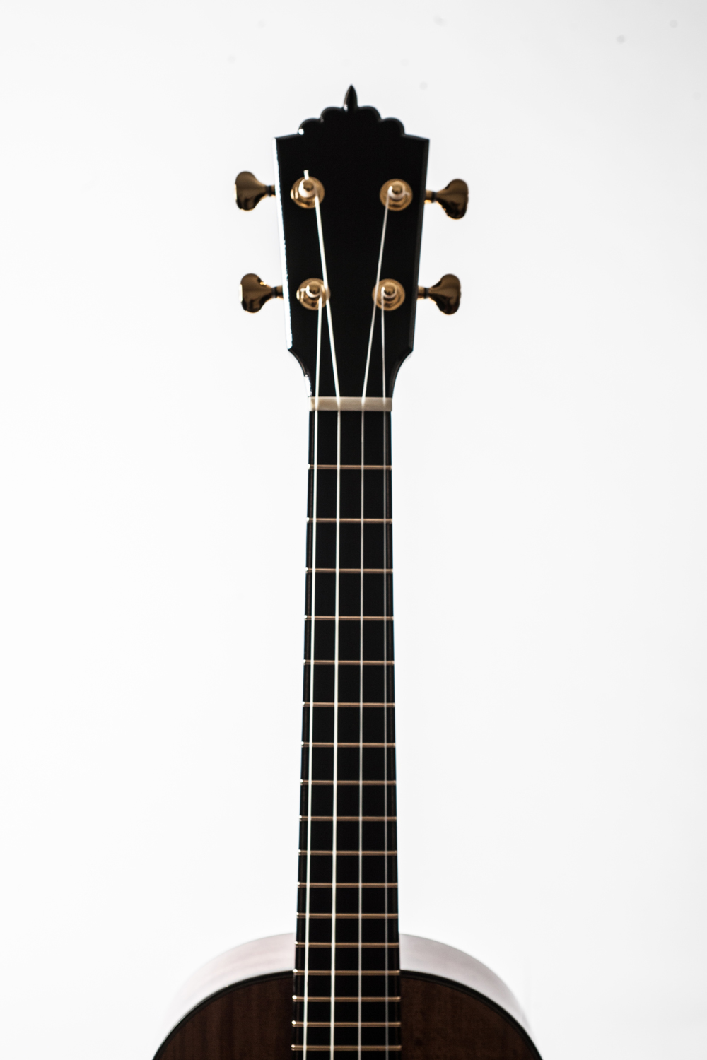 Emile Gervais_Ukulele-17