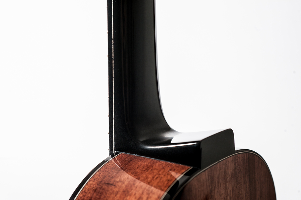 Emile Gervais_Ukulele-12