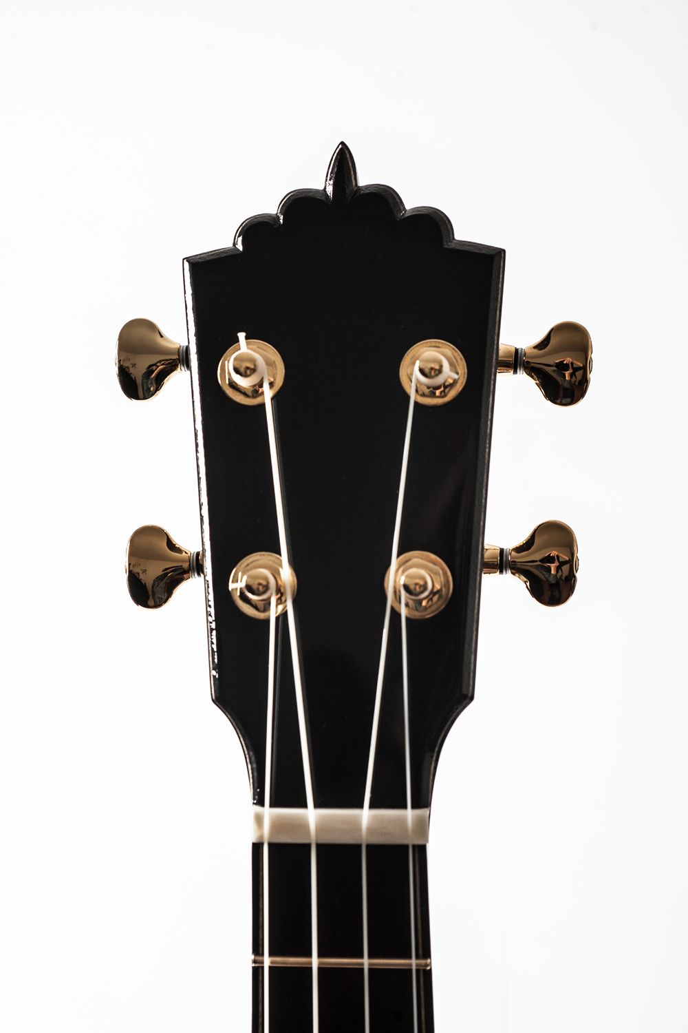 Emile Gervais_Ukulele-10