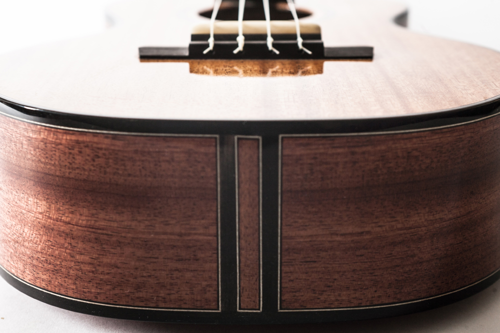 Emile Gervais_Ukulele-19