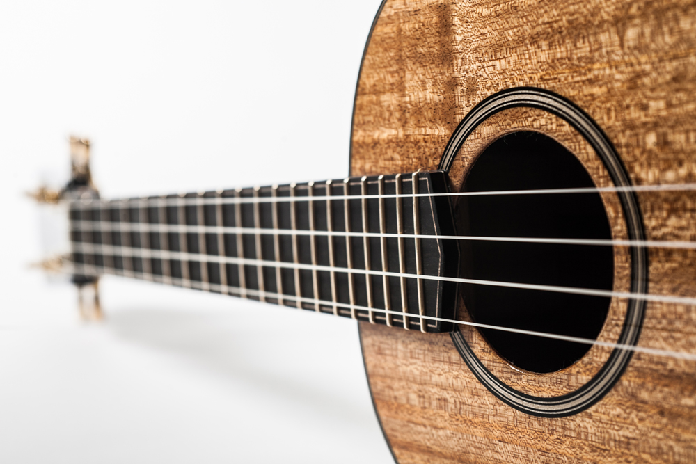 Emile Gervais_Ukulele-23