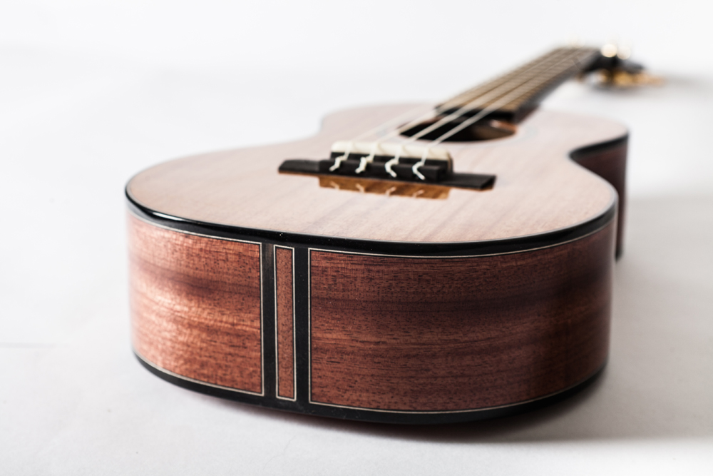 Emile Gervais_Ukulele-18